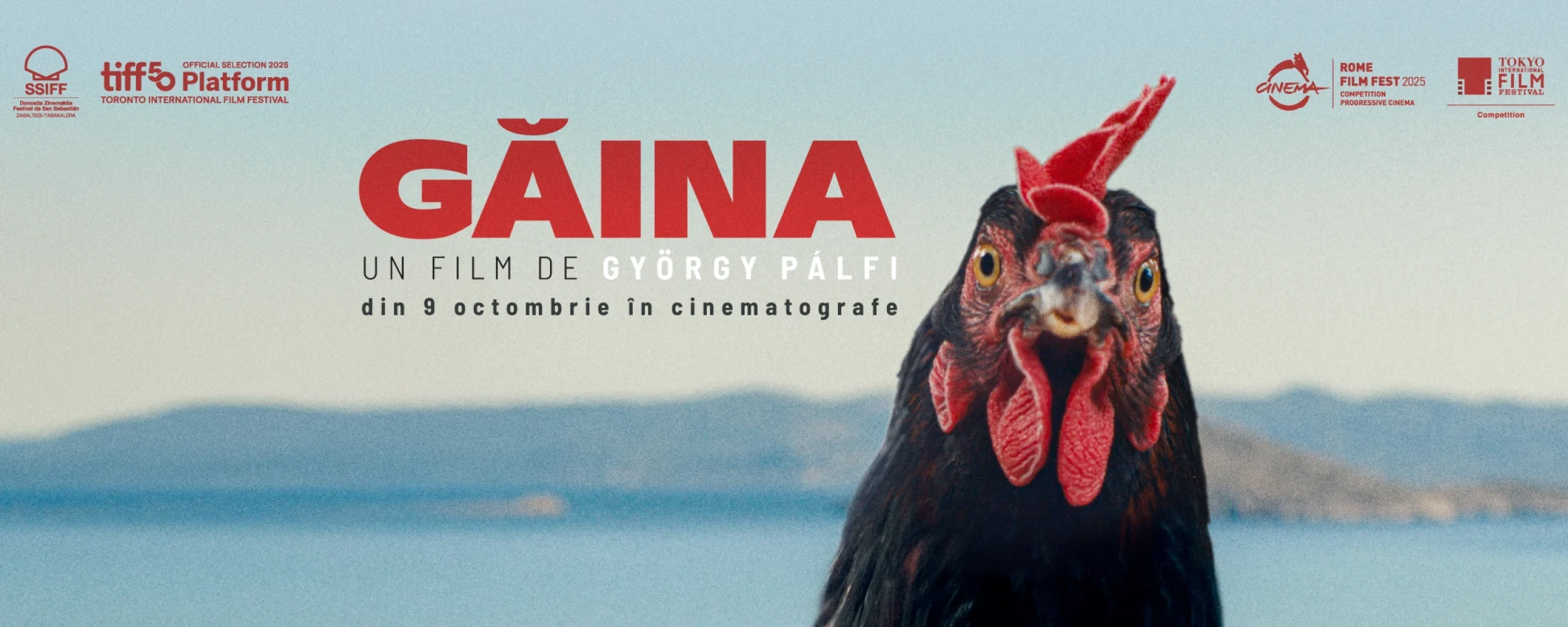 GAINA-fb-cover