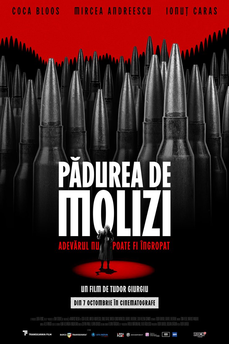 MOLIZI_RO_70X100_PREVIEW_11 copy